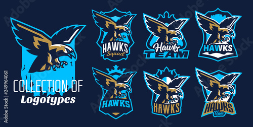 A colorful set of logos, stickers, emblems of flying eagle, hawk. Bird, hunter, predator, dangerous animal, shield, lettering. Mascot sports club, vector illustration
