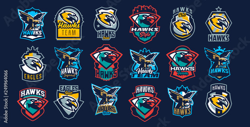 A large collection of colorful logos, badges, emblems on the theme of a hawk. Flying bird, hunter, predator, dangerous animal, shield, lettering. Mascot sports club, vector illustration
