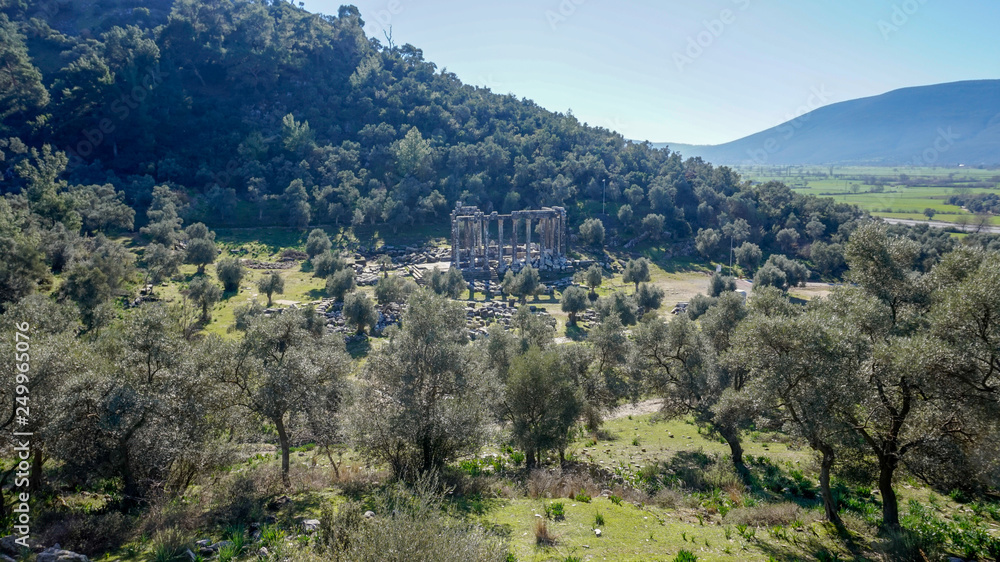 Obraz premium Euromos ancient city (antik kenti)
