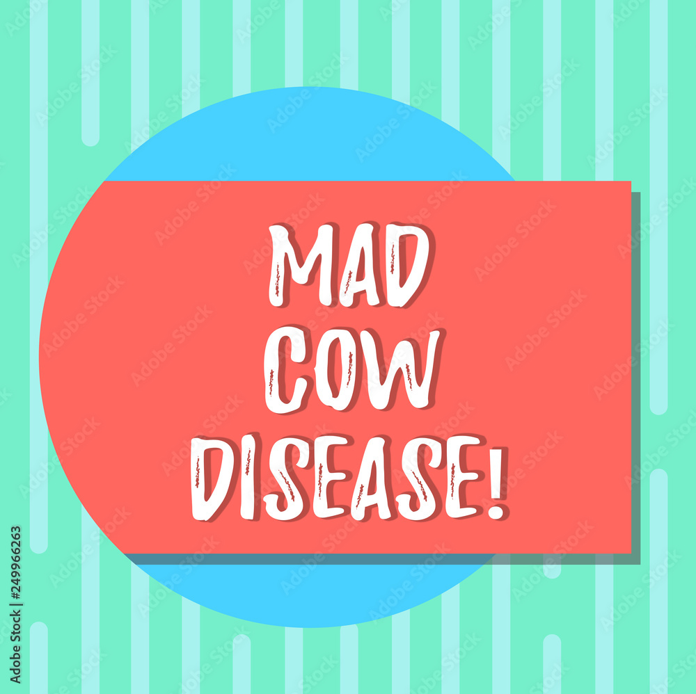 Word writing text Mad Cow Disease. Business concept for Neurodegenerative lethal disease contagious eating meat Blank Rectangular Color Shape with Shadow Coming Out from a Circle photo