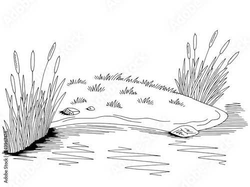 Bank of the pond graphic black white lake landscape sketch illustration vector