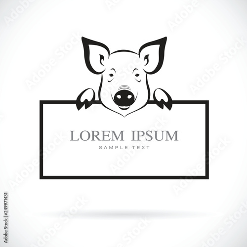 Vector of pig head with frame space for your text.  Farm Animal. Easy editable layered vector illustration.