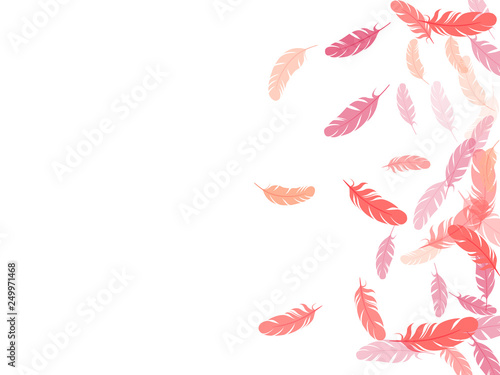 Falling feather elements soft vector design.