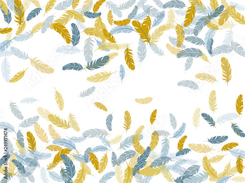 Falling feather elements soft vector design.