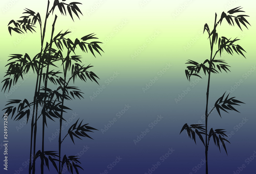 Obraz premium bamboo and background