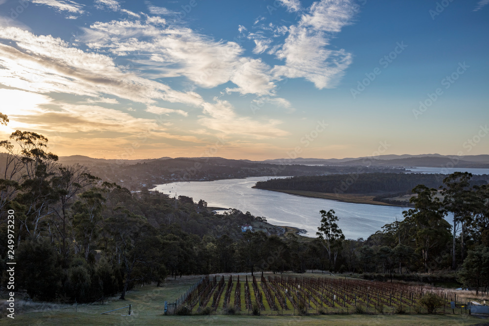Sunset over the Tamar valley in Tasmania, Australia,  with a vineyard in the foreground - obrazy, fototapety, plakaty 