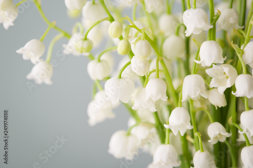 Obraz na plátně lilies of the valley on a blue background