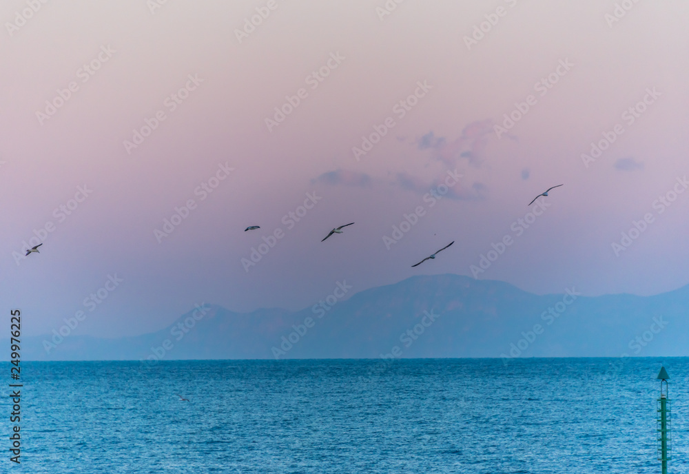 Seagulls Flying in a Southern Mediterranean Sunrise