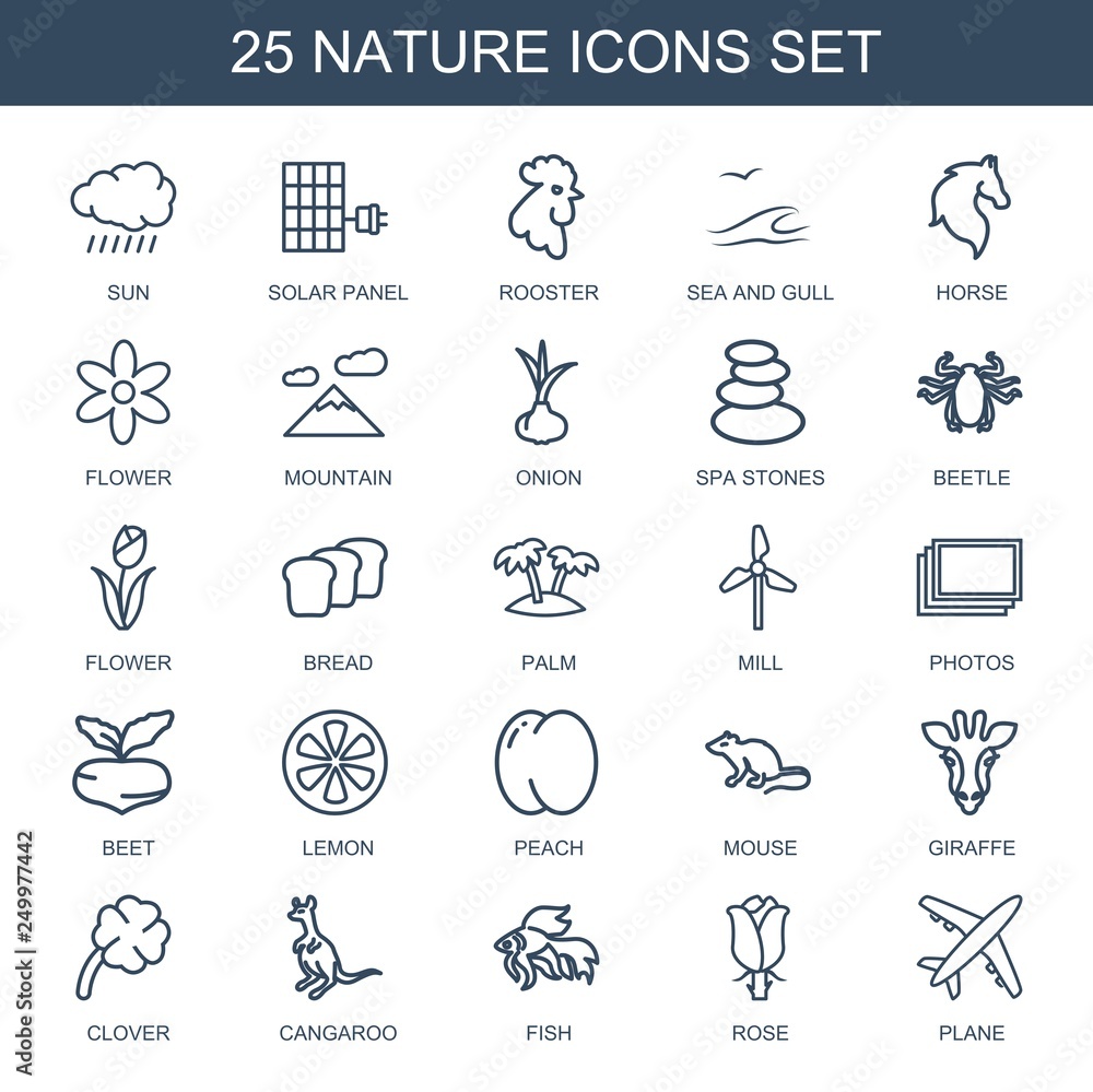 25 nature icons 25 nature icons
