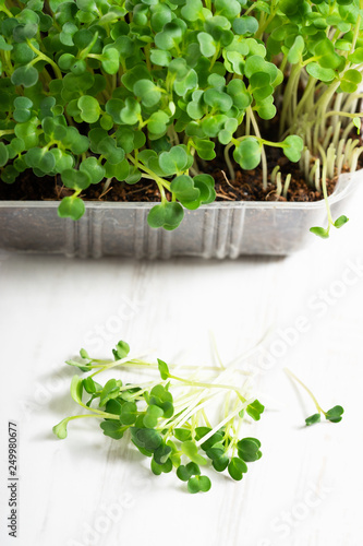 Microgreens arugula sprouts © shersor