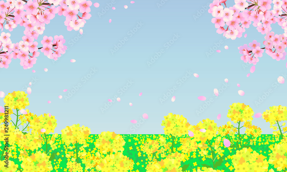 春の背景イラスト 菜の花畑と桜の木 春の背景イラスト 菜の花畑と桜の木