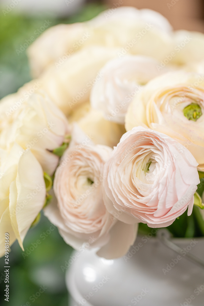 Persian buttercup. Bunch pale pink and pastel yellow ranunculus flowers in Glass vase. Vertical Wallpaper