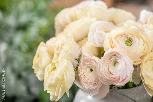 Persian buttercup. Bunch pale pink and pastel yellow ranunculus flowers in Glass vase. Vertical Wallpaper