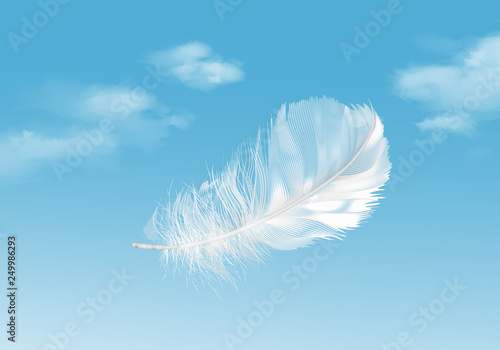 Vector illustration of floating white feather on blue sky background