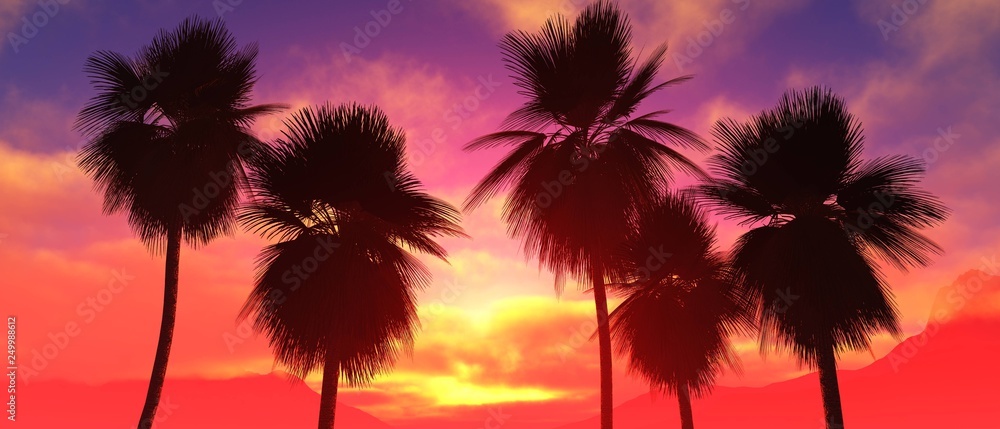 Palm trees at sunset, coconut palm trees against the sunset sky with clouds, palm trees dragging at sunrise