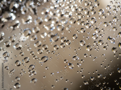 Water Droplets on a Spider Web Against Tan Background photo