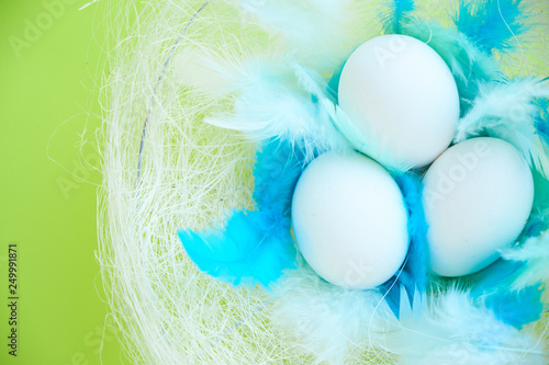 colorful background for easter, eggs in a nest with blue feathers