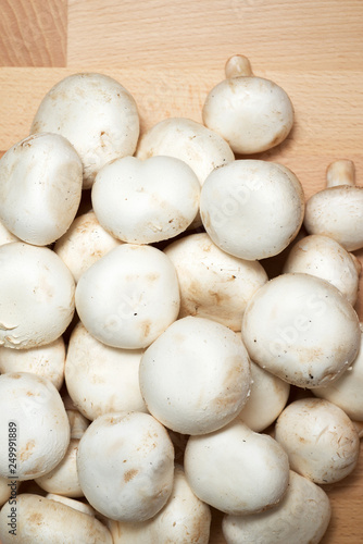 Mushrooms close up