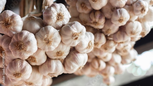 Garlic hanging in the kitchen