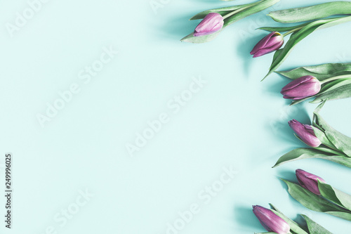 Fototapeta Naklejka Na Ścianę i Meble -  Flowers composition. Tulip flowers on pastel blue background. Spring, easter, mothers day, womens day concept. Flat lay, top view, copy space