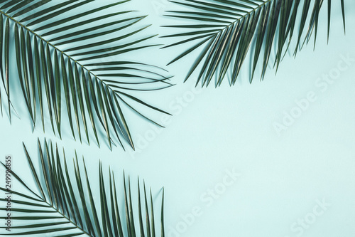 Summer composition. Tropical palm leaves on pastel blue background. Summer concept. Flat lay, top view, copy space