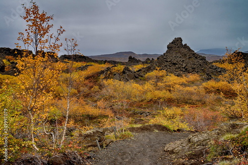 Old Volcanic area of Dimmuborgir in Iceland