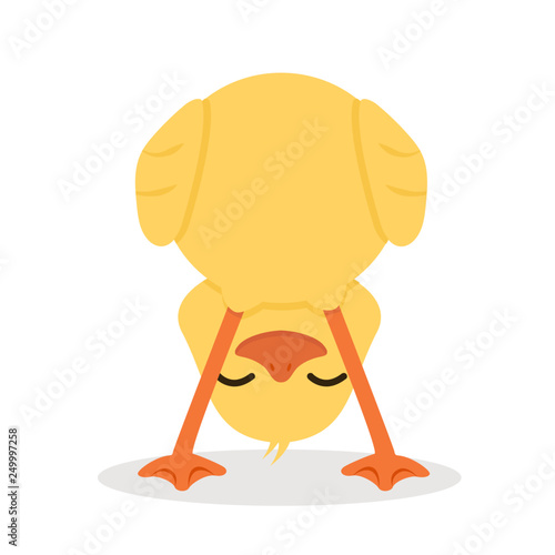 funny Duck  cartoon vector