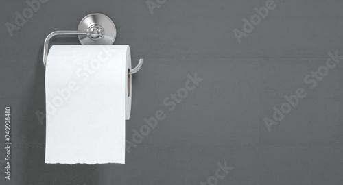 Toilet Roll On Chrome Hanger