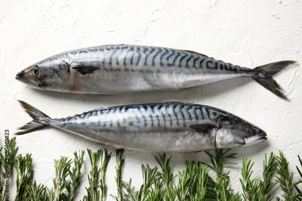 Raw mackerel fish and rosemary on white table Raw mackerel fish and rosemary on white table