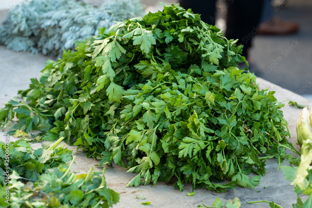 brunch of the fresh parsley on the market brunch of the fresh parsley on the market