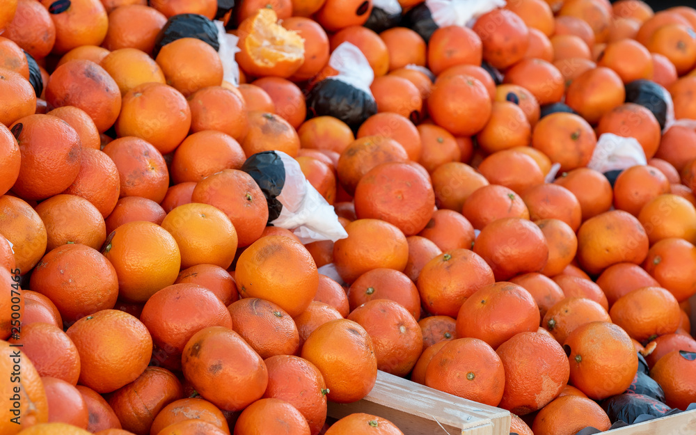 fresh organic tangerines on the market