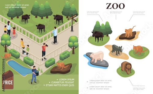 Zoo Colorful Concept