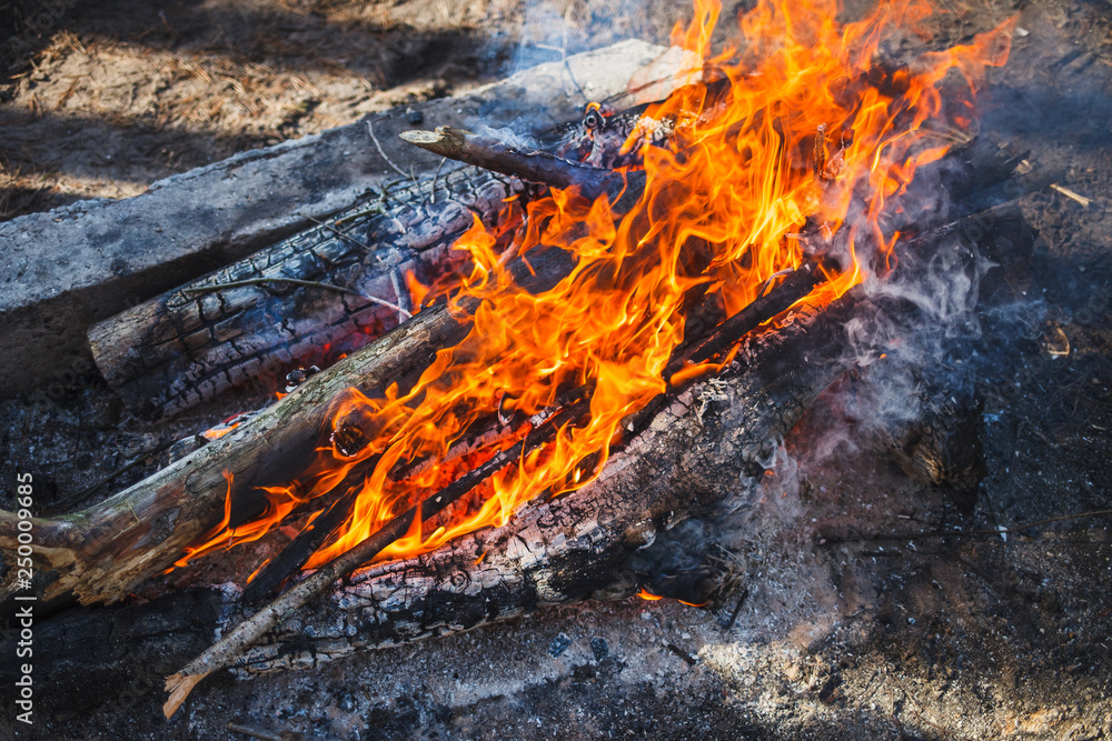 Red Bonfire in the forest in spring Red Bonfire in the forest in spring