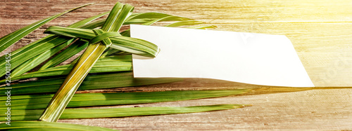 Palm Sunday concept photo