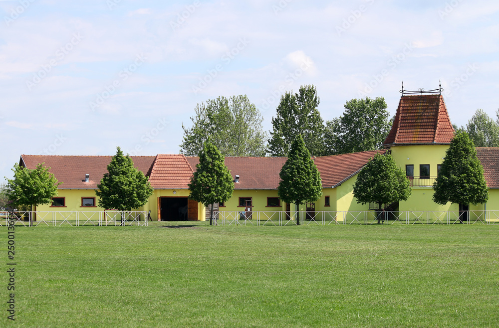 yellow horse stable on farm