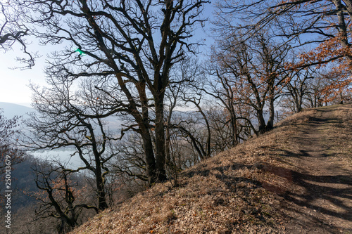 Hiking trail  in Zebegeny photo