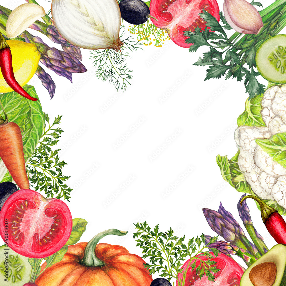 Hand drawn banner of organic vegetables