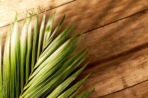 Palm Sunday concept photo