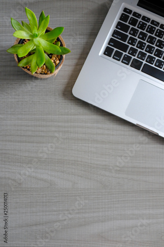 Top view perspective of laptop and cactus on gray wooden office table top wor...