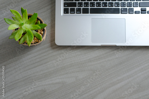 Top view perspective of laptop and cactus on gray wooden office table top wor...
