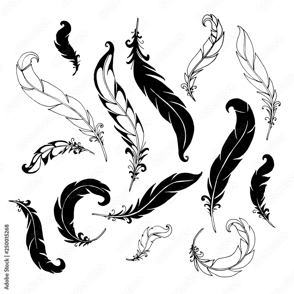 A set of drawn feathers. A set of drawn feathers.