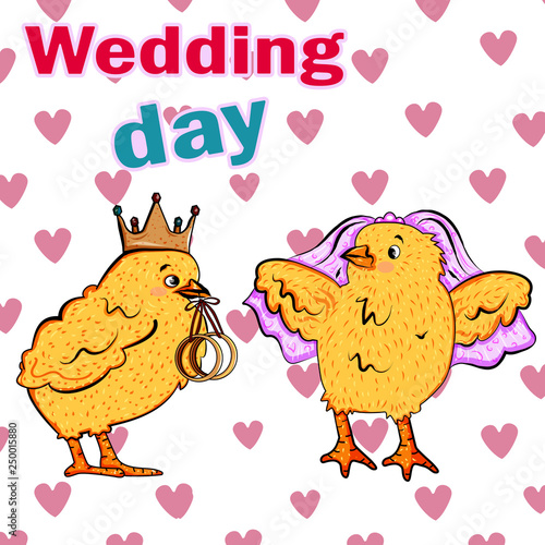 Vedding day illustration. Two birds on the wedding card. Lovely chicken couple. The groom is the Chick in the crown from the wedding rings in his beak and bride Chuck in a veil. Vector