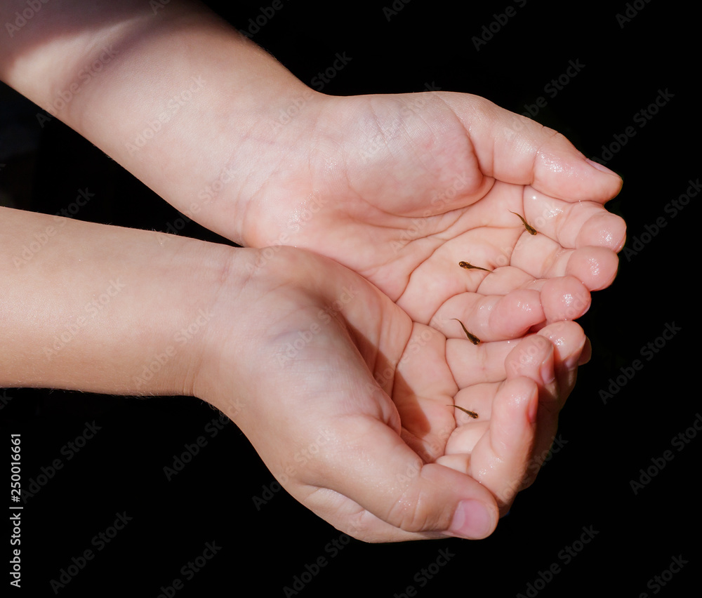 embrace hand Think earth environment embrace hand Think earth environment
