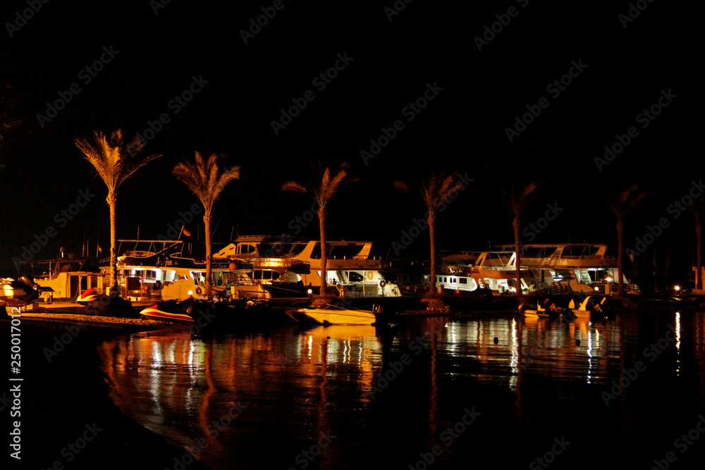 Night panorama with view of illuminated palm trees on seacoast