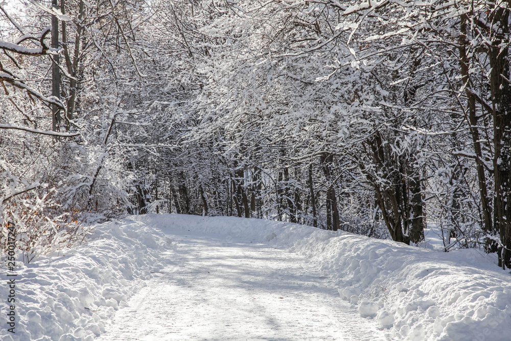 Winter nature Winter nature