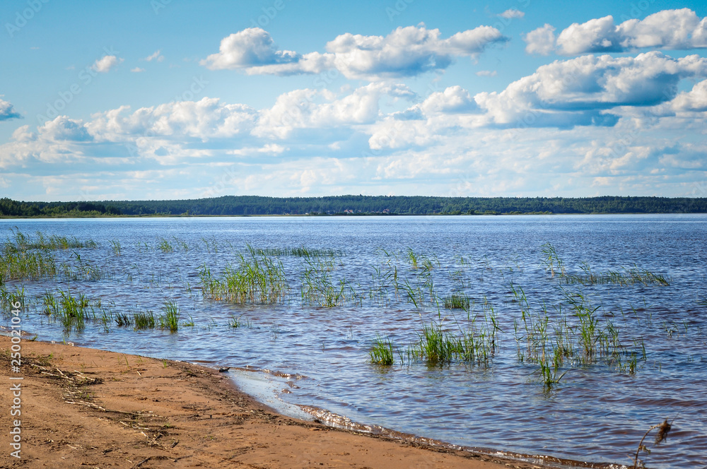 Blue sky with Cumulus clouds over the Lake Ladoga shore