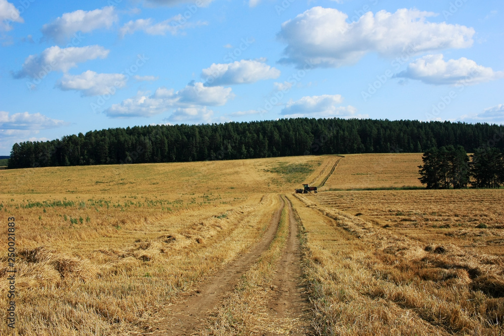 A dirt country road in field