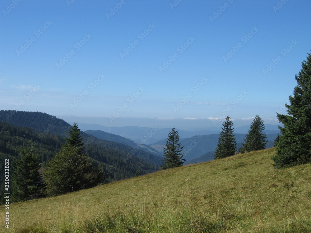 Schwarzwald Blackforest