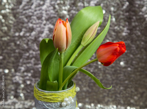  bouquet of delicate spring red tulips on a blurred metal background photo