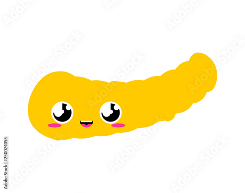 Pancreas Cute. funny internal organ cartoon style. Human anatomy kids character. Childrens style